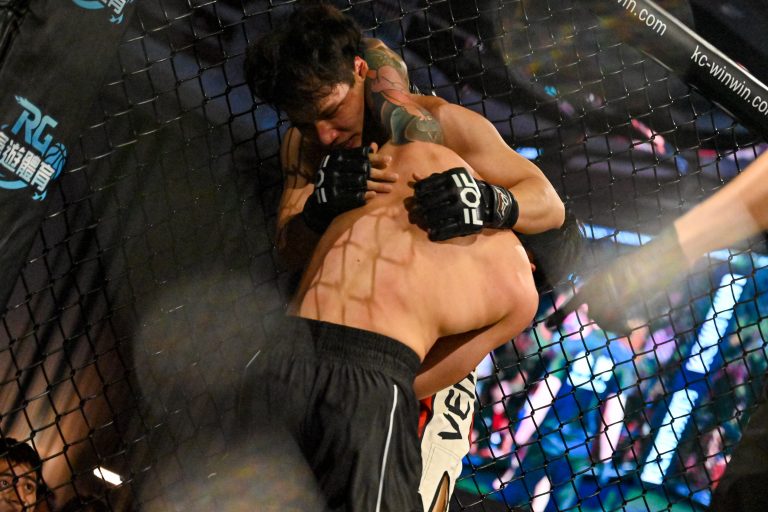 摔技與地面控制類術語