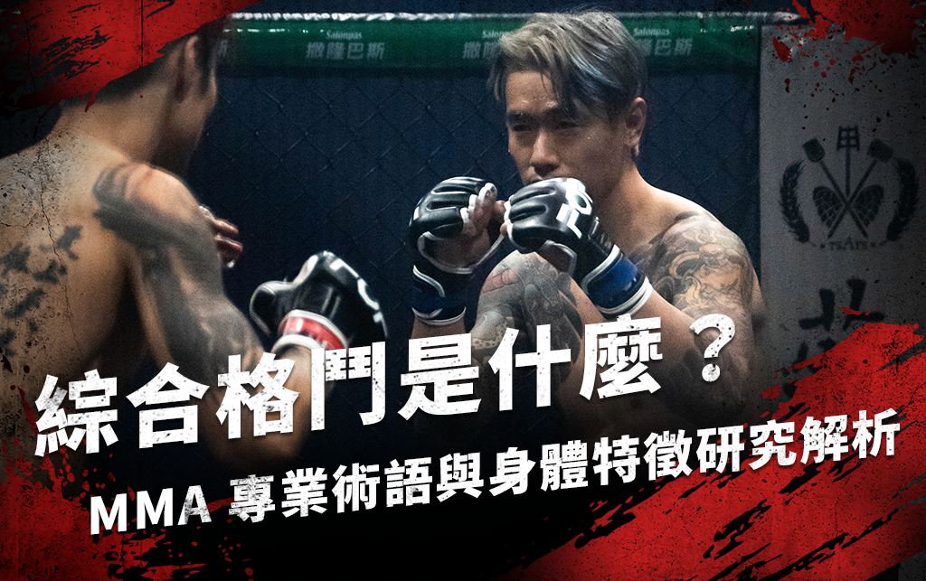 綜合格鬥是什麼