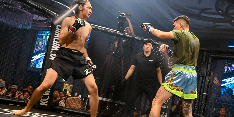 MMA vs. 拳擊